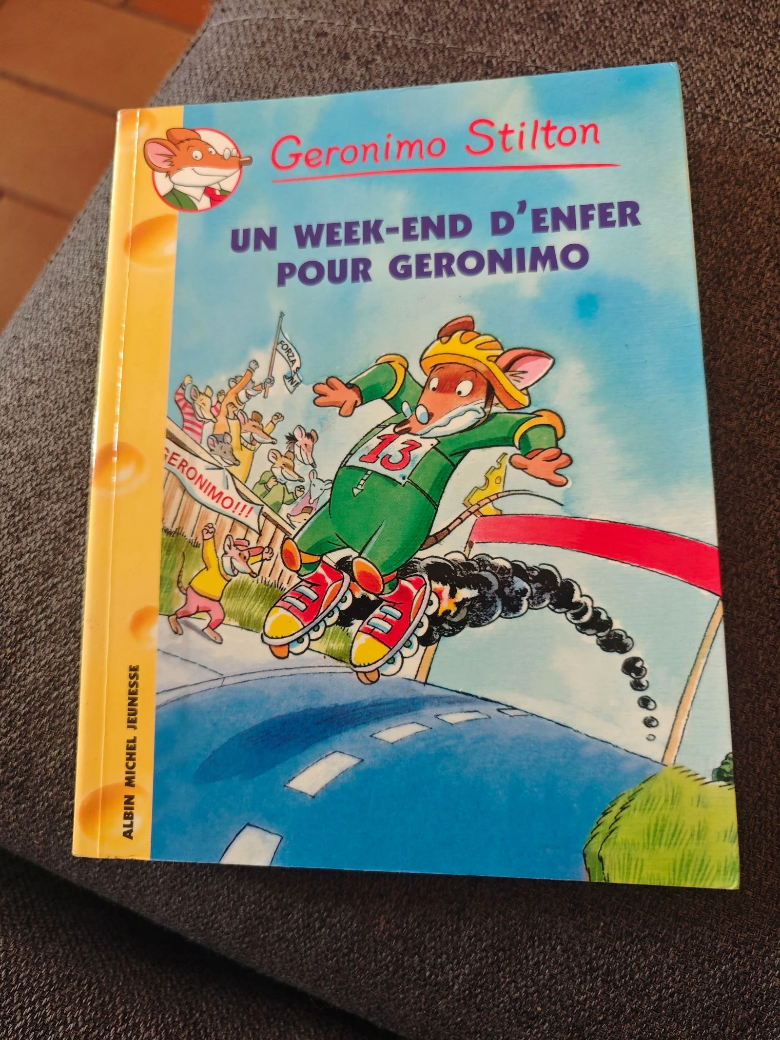 Un week-end d'enfer pour Geronimo Tome 18 (Geronimo Stilton)